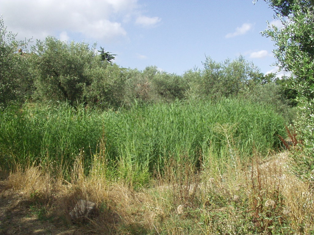 IRIDRA progetto per Agriturismo 