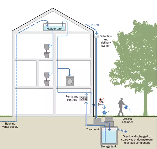 rainwater harvesting 2  web