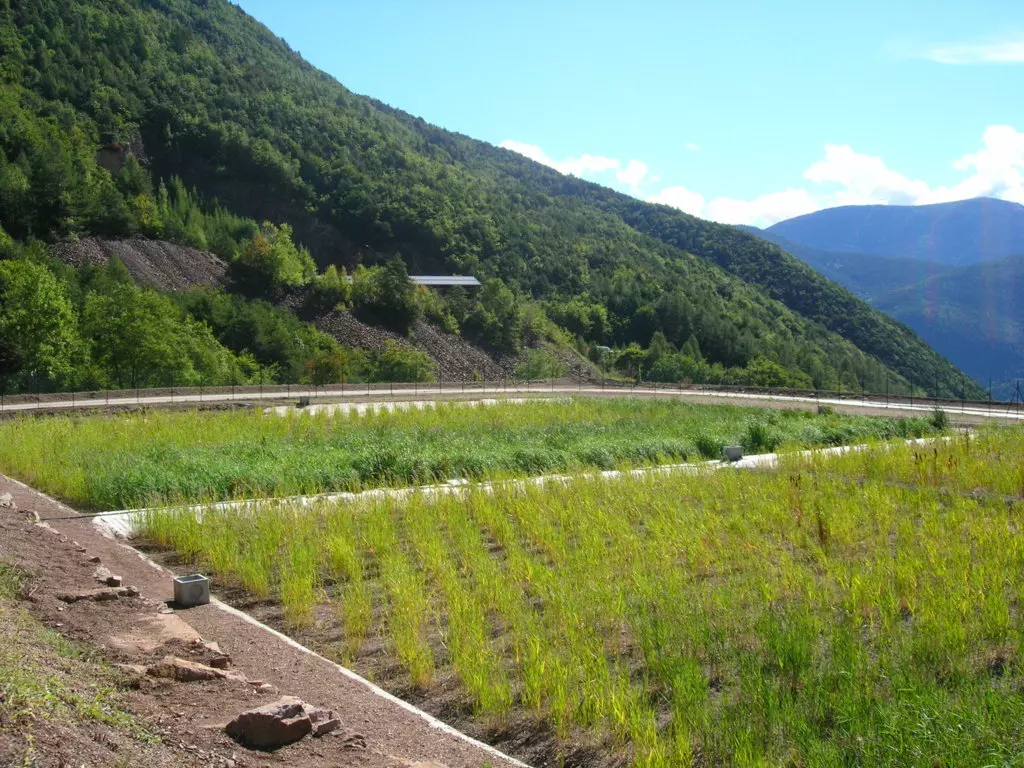 IRIDRA progetto per Località Lago Santo, Cembra (TN)