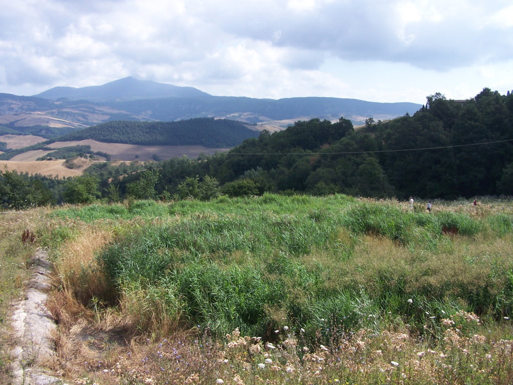 IRIDRA progetto per  Trattamento terziario del depuratore di San Casciano dei Bagni (SI) 